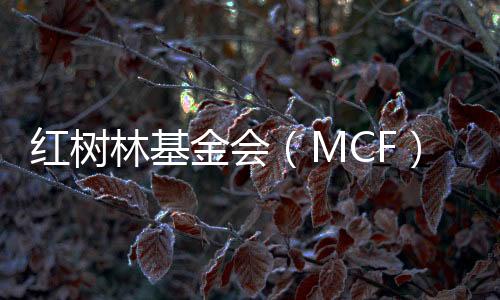 营销益品通过善因营销