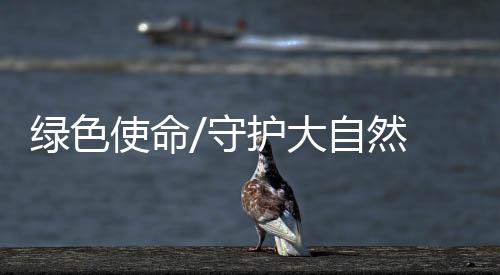 原来还有其他的绿色生活方式