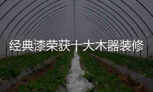 主导着行业的经典发展方向