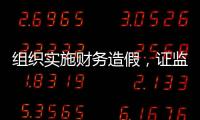 组织实施财务造假
，证监会拟对许家印采取终身证券市场禁入措施