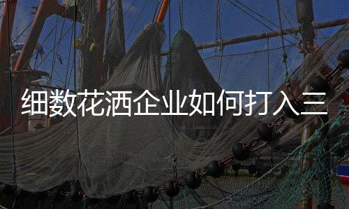 因此经营模式不能照搬