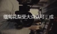 缅甸花梨受大众认可
，成为红木界的“新贵”!