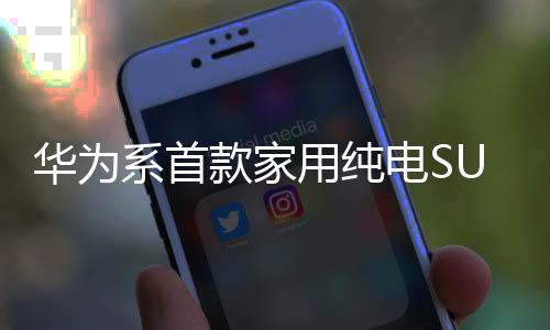 最后2025岚图用户之夜