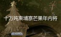 十万吨柬埔寨芒果年内将进入中国市场 中方：体现中柬亲如兄弟的友谊