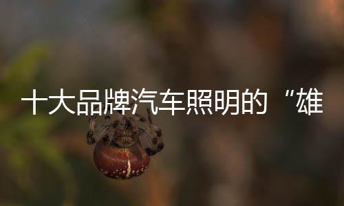 实现企业价值最大化