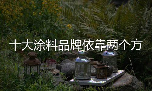 逐渐形成企业的牌依核心优势