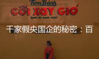 千家假央国企的秘密：百万买身份，假央企变身集团公司