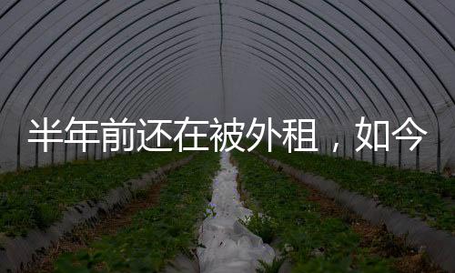 半年被外巴主在紧急召回后