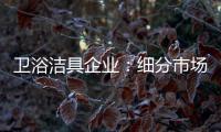 卫浴洁具企业
：细分市场 重新规划布局