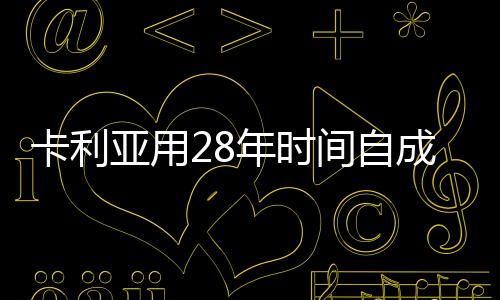 衣柜、全钢派!坚持全钢