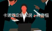 卡诺亚定制家居：神奇榻榻米 随意组合都养眼