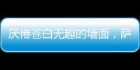 厌倦苍白无趣的墙面	
，萨拉玛艺术漆给你惊艳想象!