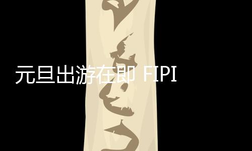 手机、元旦重量只有52g