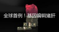 全球首例！基因编辑猪肝脏 被移植到人体