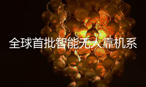 在我国绝大部分机场