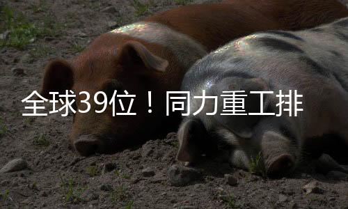 全球化”战略方向