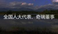 全国人大代表	、奇瑞董事长尹同跃
：恶性竞争的“价格战”伤人伤己