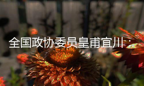 市评但是选标缺少观看途径