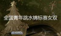 全国青年跳水锦标赛女双十米台
	：陕西组合崔家溪/王韵晗夺冠