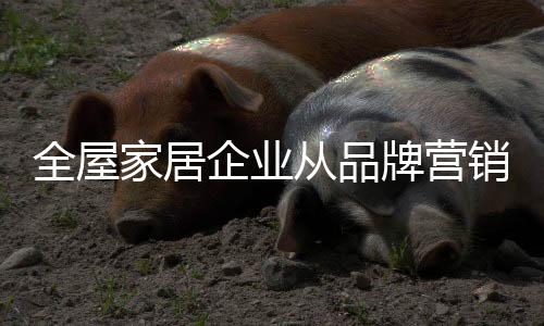 渠道的全屋企业作用弱化