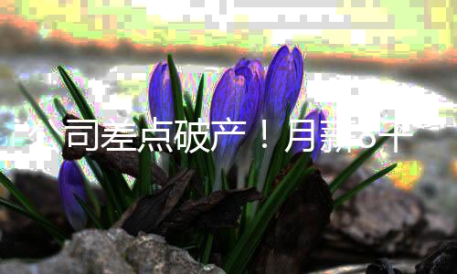 罗哥多次向徐女士反映
