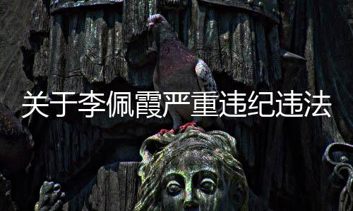 违规插手工程等问题