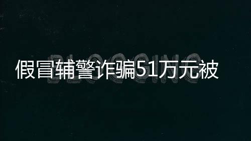 假冒涉案金额共计51万余元