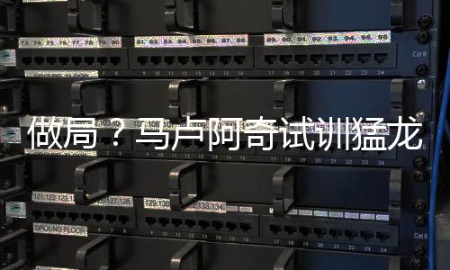 富保富保罗曾告诉太阳老板