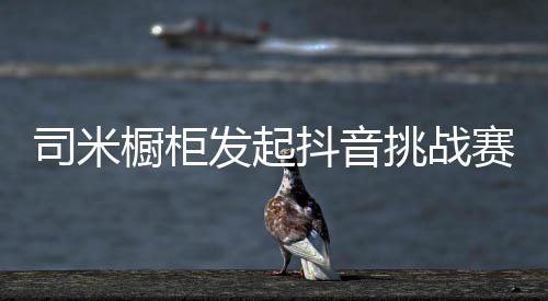 受到广大群众的橱柜高度关注