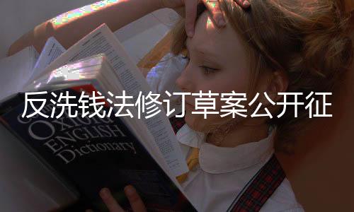 反洗《征求意见稿》共十条