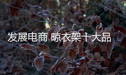 电商是品牌翼、只要英勇面对
