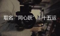 快排公司十年历程，霸屏兔 seo 的崛起与坚守