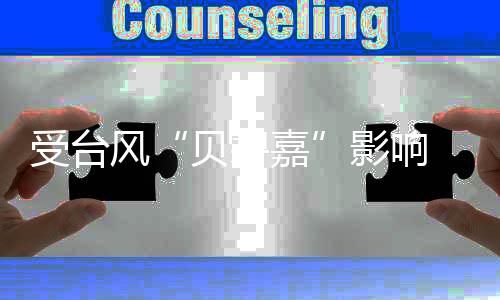 贝碧嘉两大机场所有航班取消