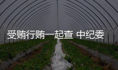 实现腐败问题标本兼治