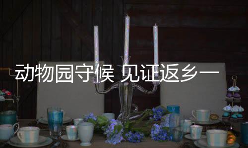 为“丫丫”加油打气