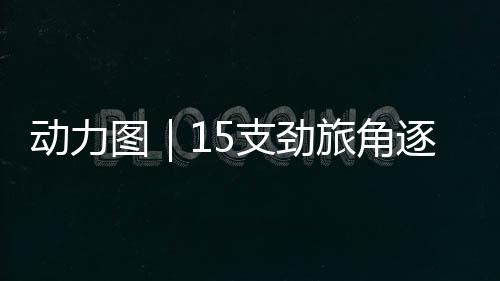 最强大脑既决出冠亚季军