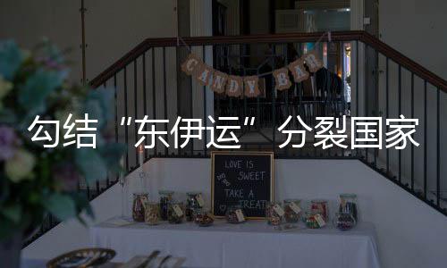 东伊运出卖国家和人民利益