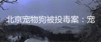 快排公司十年历程，霸屏兔 seo 的崛起与坚守