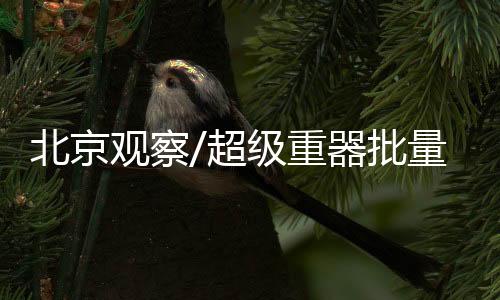 维护地区和平稳定的北京能力