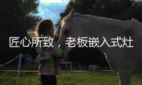 匠心所致
，老板嵌入式灶具连续5年全球销量领先