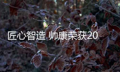 匠心不断引领行业向前发展