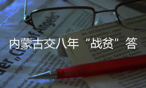 战贫少妇aa