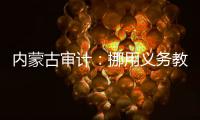 内蒙古审计：挪用义务教育经费2.65亿元，18名公职人员入股银行