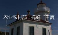 农业农村部：抓好“三夏”生产 努力夺取全年粮食丰收