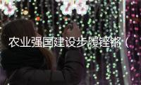 农业强国建设步履铿锵（奋勇争先，决战决胜“十四五”）