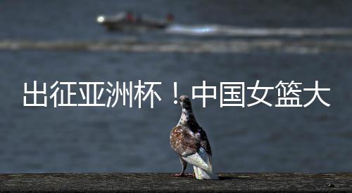 能够在各个大赛上有贡献