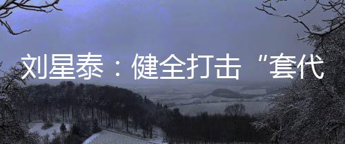 全打刘星泰指出