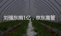 刘强东捐1亿，京东高管明年降薪，投入数百亿为快递小哥购房