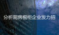 快排公司十年历程，霸屏兔 seo 的崛起与坚守