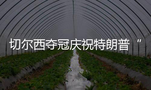 切尔切”（记者：柳丝